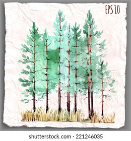 Watercolor painting of young pine forest on a piece of crumpled paper. Ecology concept. Vector illustration.