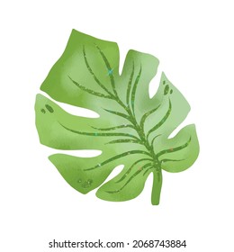 Watercolor palm leaf designr element for decorative design. Vintage floral background. Watercolor texture. Summer doodle  boho paint.  