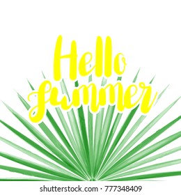 Watercolor palm leaf greeting. Hello summer exotic plant banner. Vector illustration fashion banner card. Eco fresh lettering party design. Sale lettering tree invitation frame template.