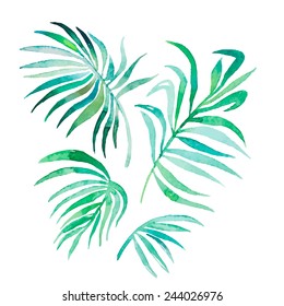 Watercolor Palm Leaves Isolated On White.Vector For Your Design.