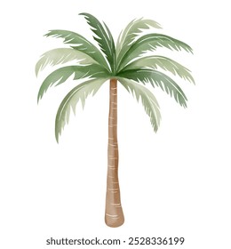 Watercolor palm tree. Hand drawn tropical tree. Exotic palm leaves. 