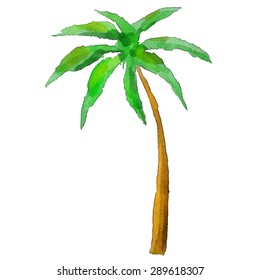 Watercolor Palm Tree Isolated On White Background. Art Logo Design