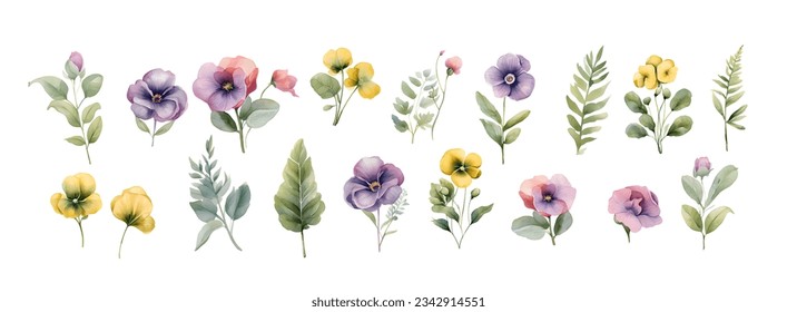 Watercolor pansy flowers bouquet collection. Vector viola spring floral set illustration. Summer bloom violet plant decoration design elements