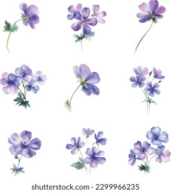 Watercolor pansy flowers set isolated on white background. Hand drawn illustration.