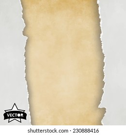 Watercolor paper vector texture