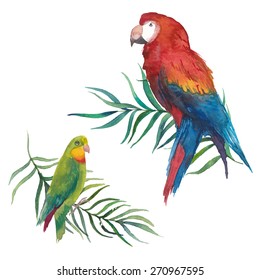 Watercolor parrot set. Hand drawn exotic tropical birds with palm tree leaves. Vector illustrations