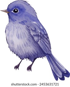 Watercolor Passerina Versicolor Vector Illustration