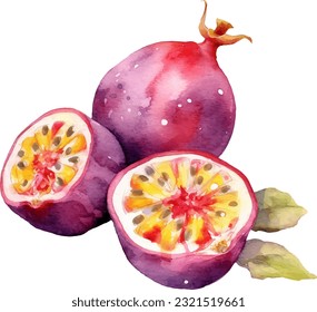 Watercolor Passion Fruit Illustration. Hand-drawn fresh food design element isolated on a white background.