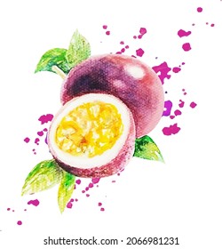 Aquarellpassion Frucht einzeln auf weißem Hintergrund, Vektorgrafik