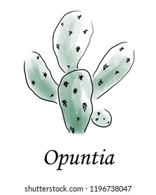 Watercolor or Pastel cactus. Opuntia. Hand-drawn botanical design for birthday, wedding or event decoration, postcard, fabric print, menu, sticker, banner, book illustration, etc.