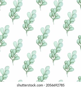 Watercolor pattern with eucalyptus branches on a white background.