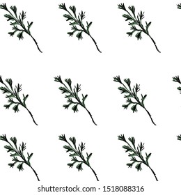 Watercolor pattern of fir branches. Winter background. 