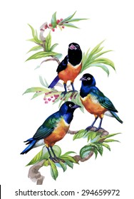 Watercolor pattern with tropical birds on tree vector illustration