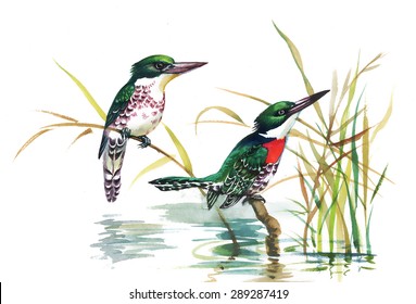 Watercolor pattern with tropical birds vector illustration
