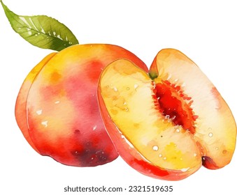 Watercolor Peach Illustration. Hand-drawn fresh food design element isolated on a white background.