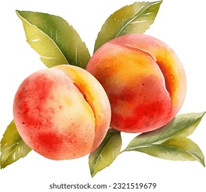 Watercolor Peach Illustration. Hand-drawn fresh food design element isolated on a white background.