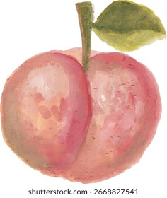 Pêssego Aquarela com Caule e Folha