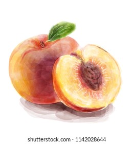 Watercolor peach. Vector. Draft.