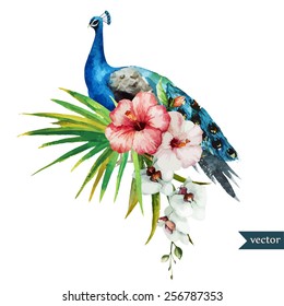 watercolor, peacock, flowers, element, poultry,