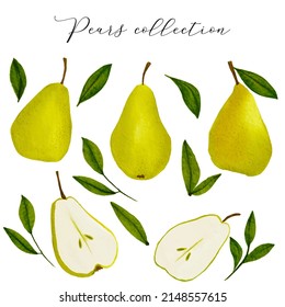 Watercolor pear fruit collection. Juicy hand drawn pear fruit, full and cut. Summer bright fruit element for print, textile, fabric, craft, wallpaper, wrapping, packing.