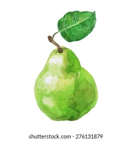 Watercolor Pear with green leaf on a simple white background. 