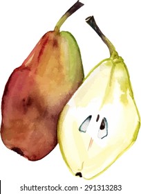 A watercolor pear and a half, scalable vector graphic