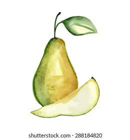 Watercolor pear. Hand drawing. Vector illustration