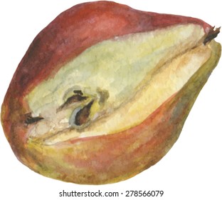 Watercolor pear illustration isolated on white background