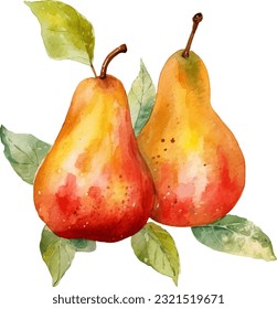 Watercolor Pears Illustration. Hand-drawn fresh food design element isolated on a white background.