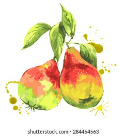 Watercolor pears, summer hand drawn fruit vector illustration