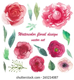 Watercolor peony, ranunculus, anemone, roses elements set. Vintage leaves, flowers and branches. Vector hand drawn design illustration