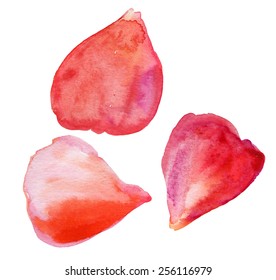 watercolor petals. Vector illustration