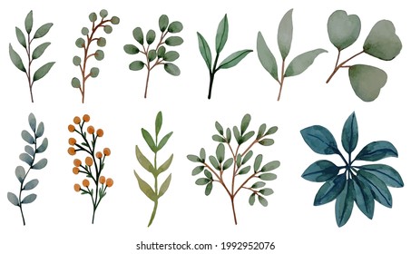 Watercolor photo. Botanical clipart. A set of green leaves, herbs and twigs. Floral design elements. Wedding invitations, greeting cards, blogs, posters, etc.