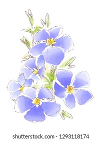 watercolor picture of wild blue spring periwinkle flowers bouquet isolated on white background