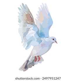 Watercolor of pigeon, isolated on a white background, pigeon drawing