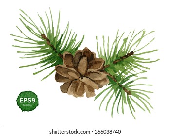 Watercolor Pine Branch With Cone. Vector Illustration