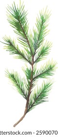 Watercolor Pine Branch - Green Evergreen Sprig Isolated vector illustration
