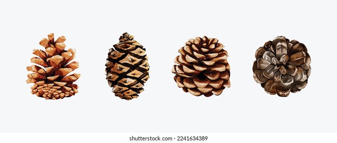 Watercolor Pine cone set vector elements design. Elements design for invitation, cards, social post, ad, cover, sale banner, invitation and decorate artwork.