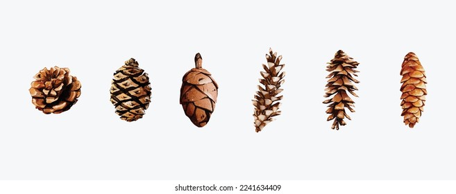 Watercolor of pine cone set vector elements design. Elements design for invitation, cards, social post, ad, cover, sale banner, invitation and decorate artwork.