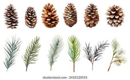 Watercolor pine and pine corn  branches clipart collection.  Isolated on white background vector illustration set. 