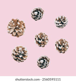 Watercolor pine and pine corn branches clipart collection. Isolated on white background vector illustration set.