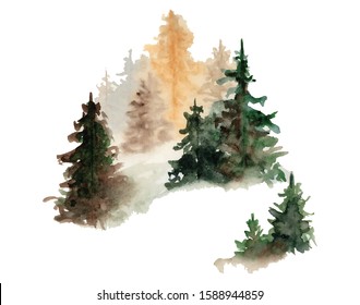 Watercolor Pine Trees Hand Drawn Illustration Isolated On White Background