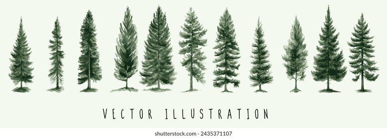 Watercolor of pine trees vector illustration collection set. Pine, spruce, christmas tree. isolated vector background