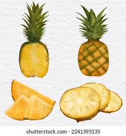 watercolor pineapple element collection illustration