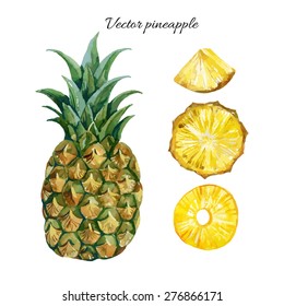 watercolor pineapple set. Hand painted vector illustration