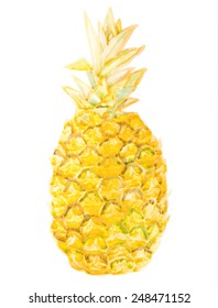 Watercolor pineapple. Tropical summer fruit. 