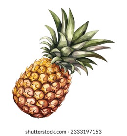 a watercolor pineapple vector. Isolated on white. clipart for graphic resources.  Fruit painting vector illustration