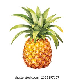 a watercolor pineapple vector. Isolated on white. clipart for graphic resources.  Fruit painting vector illustration