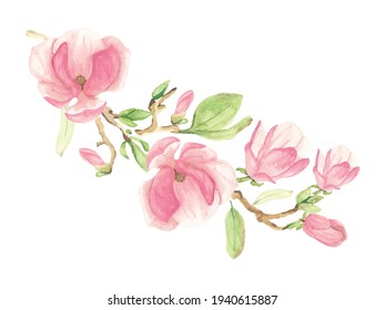 watercolor pink blooming magnolia flower and branch bouquet