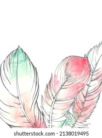 watercolor pink and blue bird feathers on white background